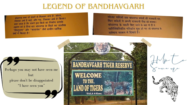 जंगल में बाँधवगढ़ (Bandhvgarh in Jungle)